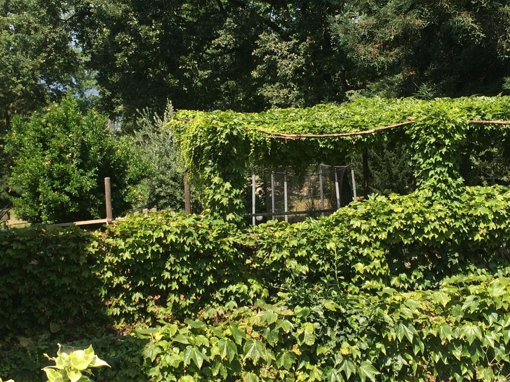 Fattoria Sequoia Bed and Breakfast Castagneto Po Exteriör bild