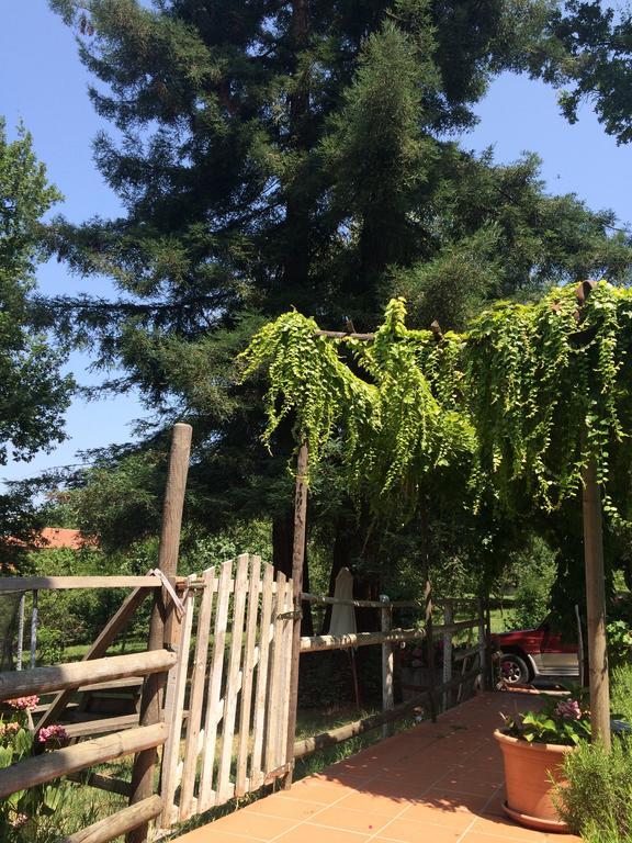Fattoria Sequoia Bed and Breakfast Castagneto Po Rum bild